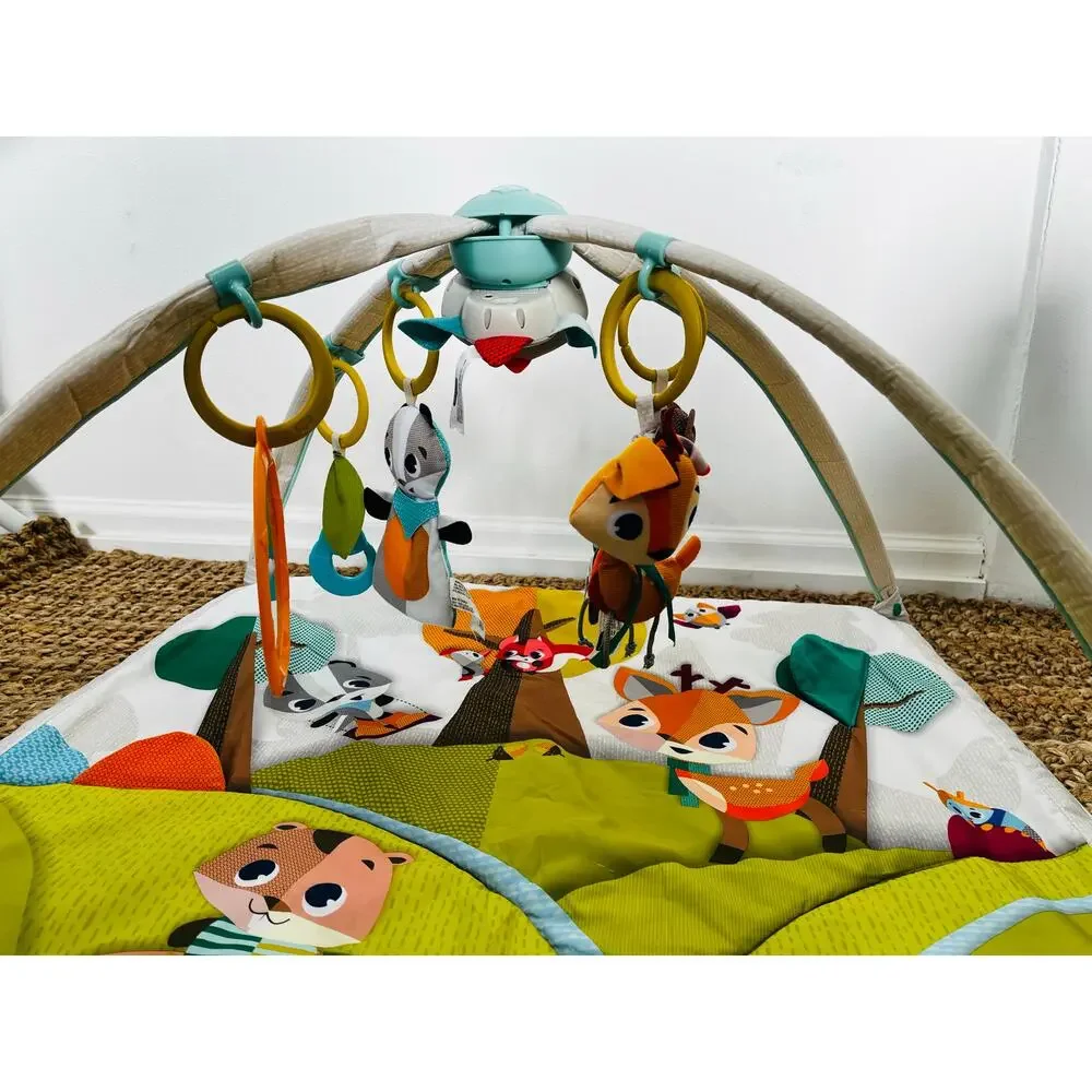 Tiny Love Into the Forest Play Gym